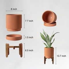 Large Terracotta Pots, 8 Inch Clay Planter Pots with Drainage Hole & Saucer (…