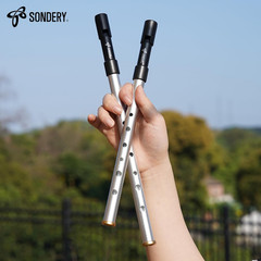 Irish Tin Whistles Set Key of C and Key of D Made from Aluminum Clear Bright Sou