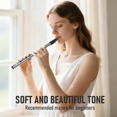 1 PCS Irish Tin Whistle Key Of D Silver Sound Penny Whistle Instrument
