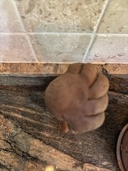 VINTAGE PRE COLOMBIAN MODERN PIECE BOUGHT IN MEXICO 80’s
