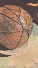 Tarahumara Sinew