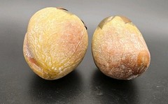 VTG 6 Piece Mexican Clay Copper & Brass Pottery Terracotta Fruit Hand Painted
