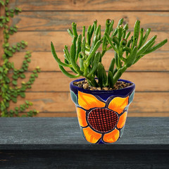 Mexican Pottery Planters – Set of 3 Pieces – Talavera Pottery – Succulent Pot Pl