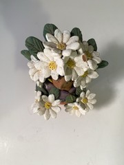 VTG Signed Josefina Aguilar Market Vendor with Flowers, Oaxaca Mexico