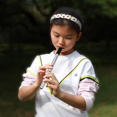 Irish Tin Whistle Flute 6Hole Aluminum Key of C Penny Whistle Silver