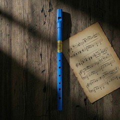 Blue Whistle Tube – Fun & Colorful Tin Whistle – Key of D – Irish & Internati…