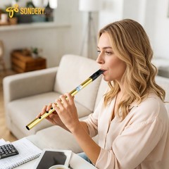 D Key Irish Tin Whistle, Brass Penny Whistle, Bright Tone