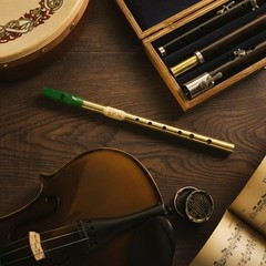 Brass Irish Whistle Key Of C Tin Whistle For Beginner Intermediate Expert