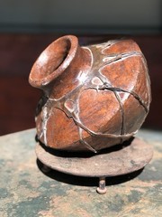 Tarahumara Sinew