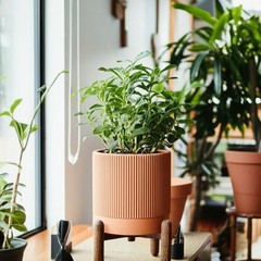 Large Terracotta Pots, 8 Inch Clay Planter Pots with Drainage Hole & Saucer (…
