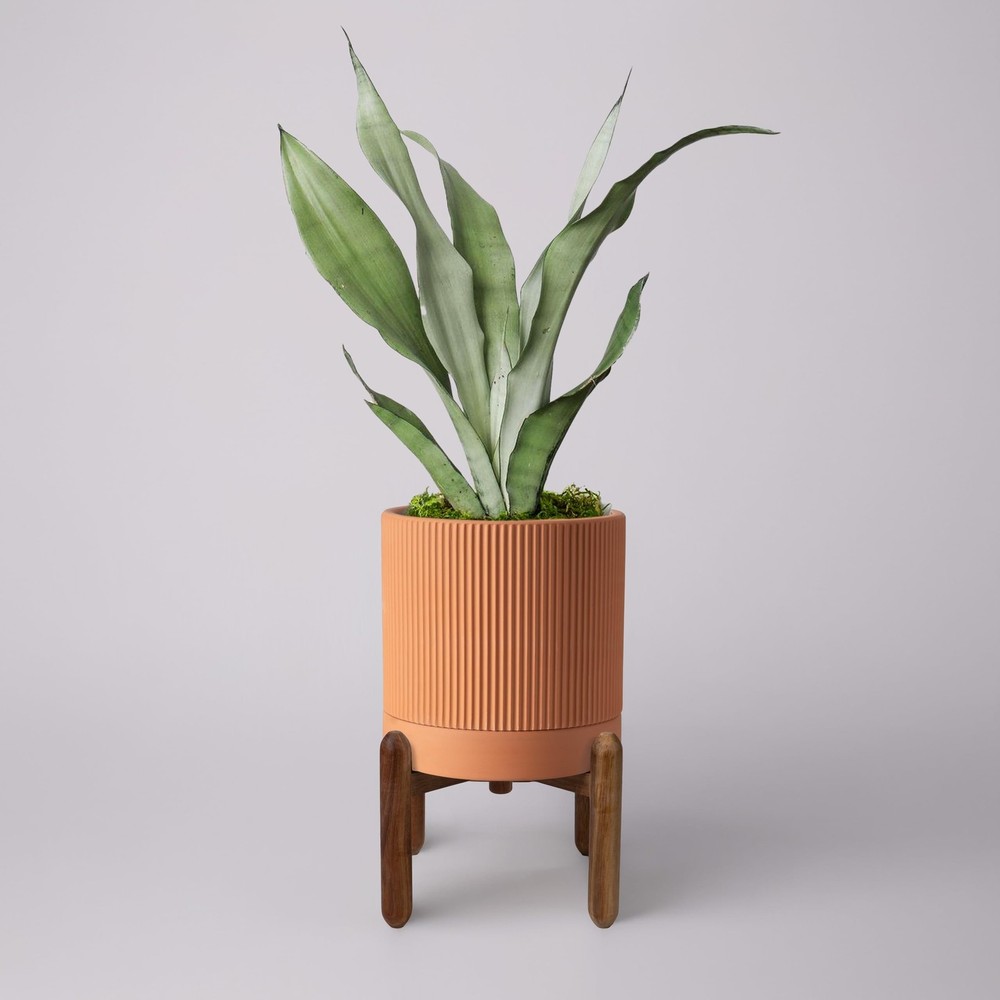 Large Terracotta Pots, 8 Inch Clay Planter Pots with Drainage Hole & Saucer (…