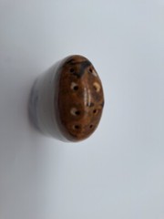 Shaker Tonala Mexican Pottery Art 8 hole Shaker Blue Bird Vtg Single