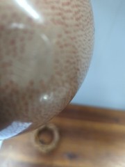 mata ortiz pottery Gloria Hernandez Spider Design Pot Planter