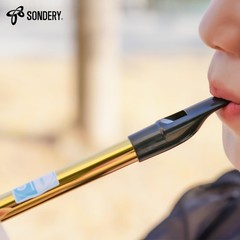 Irish Tin Whistle Key of D Made from Brass A Bright Brass Wind Type Sound Pen…